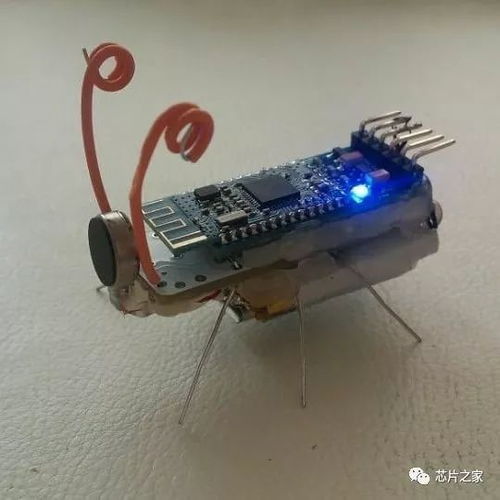 电子元器件的艺术新生 当技术零件变成视觉诗歌